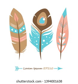 set of bird feathers. vector illustration. colored feathers