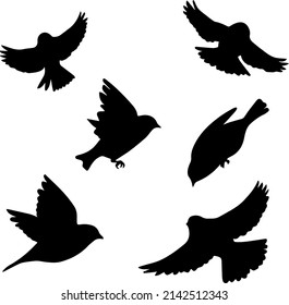 set of bird flying silhouette vector illustration