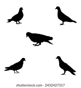 Set of bird flying silhouettes. Eagle, falcon, hawk, dove, swallow, raven, swift and others. Vector illustration