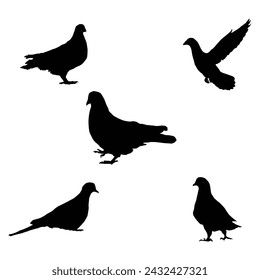 Satz von Vögeln fliegende Silhouetten. Adler, Falke, Falke, Taube, Schwalbe, Rabe, Mauersegler und andere. Vektorgrafik