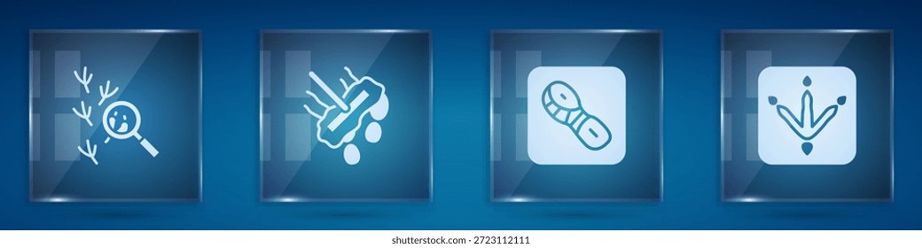 Set Bird footprint, Mop, Human footprints shoes and Chicken paw. Square glass panels. Vector
