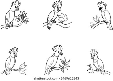 Set of bird icon vector illustration