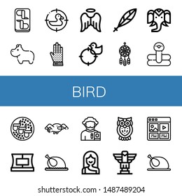 Set of bird icons such as Chicken wings, Hippopotamus, Duck, Chainmail, Angel, Quill, Dreamcatcher, Wild life, Flamingo, Collar, Seagull, Chicken, Poet, Troglodyte, Owl , bird