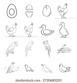 Conjunto de Ilustraciones de arte de línea de pájaro - pollo, pato, loro, paloma
