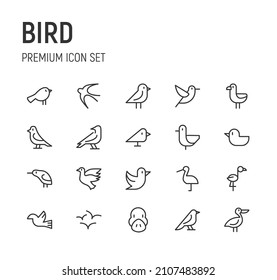 Set of bird line icons. Premium pack of signs in trendy style. Pixel perfect objects for UI, apps and web.