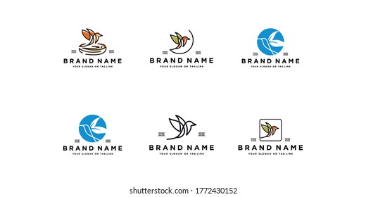 set bird logo design vector template