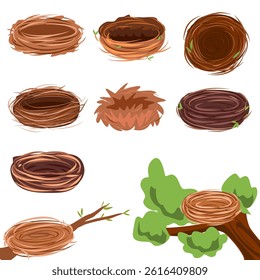 Set of bird nest illustration 