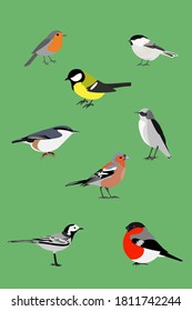 set of bird on green background