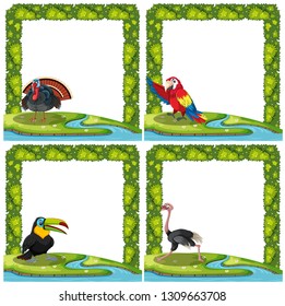 Set of bird on nature frame illustration