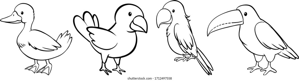 Set of bird outline illustration