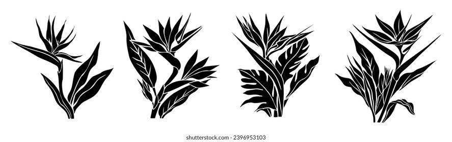 Set of Bird of paradise flower black silhouettes.