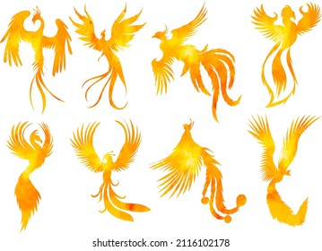 set of bird phoenix watercolor silhouette ,on white background, vector