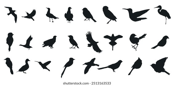 Conjunto de coleção de silhuetas Bird