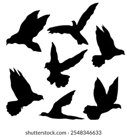 set of bird silhouette with different pose