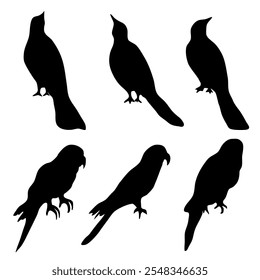 set of bird silhouette with different pose