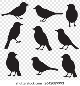 Set of bird Silhouette in various poses isolated on transparent background. eps 10