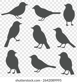 Set of bird Silhouette in various poses isolated on transparent background. eps 10