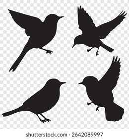 Set of bird Silhouette in various poses isolated on transparent background. eps 10