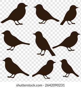 Set of bird Silhouette in various poses isolated on transparent background. eps 10