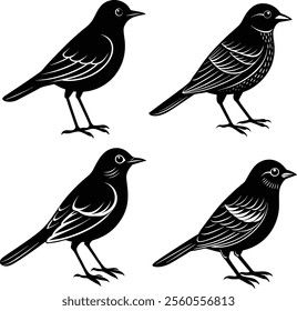 Set of  Bird silhouette vector illustration