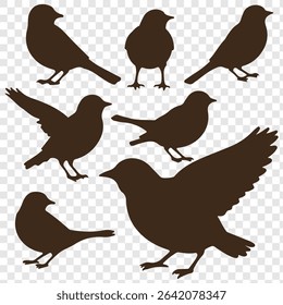 set of bird silhouette vector illustration. eps 10.