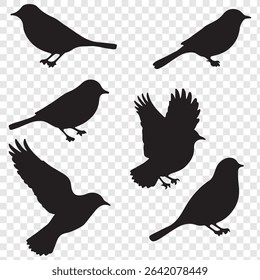 set of bird silhouette vector illustration. eps 10.