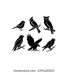 A Set Of Bird Silhouette With A White Background.
