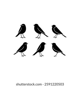A Set Of Bird Silhouette With A White Background.