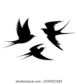 A set of bird silhouettes in flight, the birds in various positions and wing spreads in vector illustration