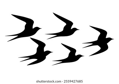 A set of bird silhouettes in flight, the birds in various positions and wing spreads in vector illustration