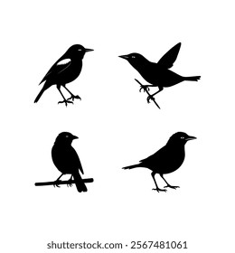 Set of bird silhouettes on a branch in a cute cartoon style with feathers and wings, featuring robin, bullfinch, and sparrow, illustrating nature and wildlife in spring