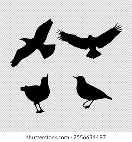 A set of bird silhouettes on a transparent background, showcasing diverse species in elegant poses, ideal for design projects, artwork, and decorative elements.