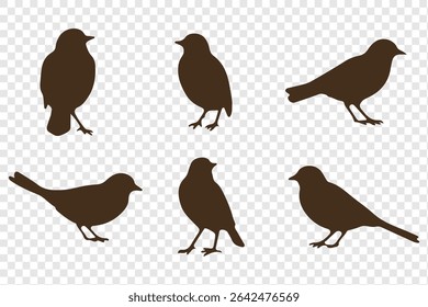 Set of bird silhouettes  in various poses isolated on transparent background.