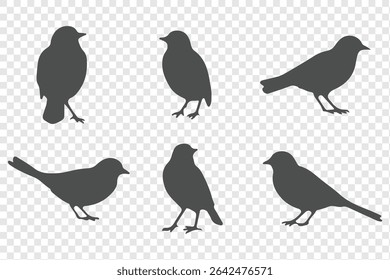 Set of bird silhouettes  in various poses isolated on transparent background.