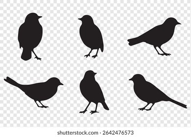 Set of bird silhouettes  in various poses isolated on transparent background.