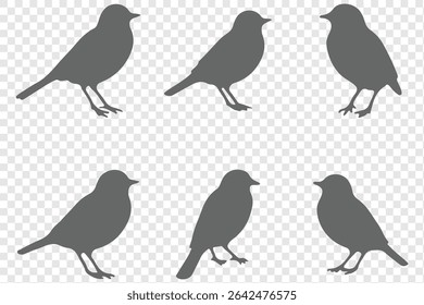 Set of bird silhouettes  in various poses isolated on transparent background.