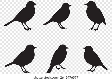 Set of bird silhouettes  in various poses isolated on transparent background.