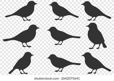 Set of bird silhouettes. Vector elements for design. perfect for logo design, art projects, and graphic design.