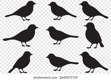 Set of bird silhouettes. Vector elements for design. perfect for logo design, art projects, and graphic design.