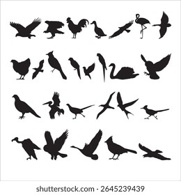 Set of Bird Silhouettes Vector – Flying, Perching and Walking Birds Collection for Nature and Wildlife Design