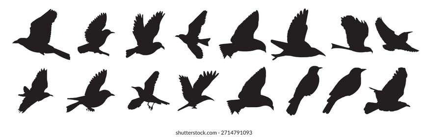 Conjunto de siluetas de aves Ilustración vectorial