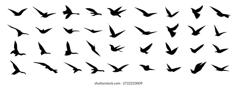 Conjunto de siluetas de aves Ilustración vectorial