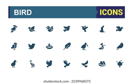 Set of Bird solid icons. Contains related to animal, wildlife, wild, beak, feather, sparrow and more. Flat filled icons pack.