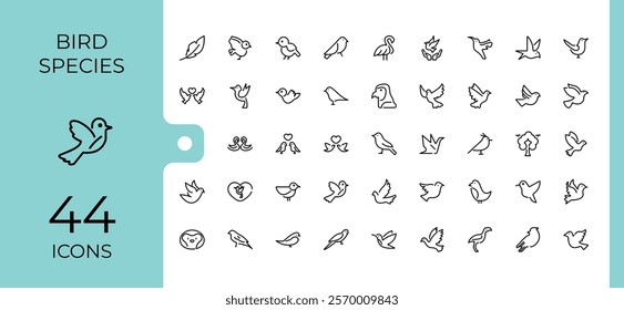 Set of Bird Species line icons. Containing wild, wings, bird, freedom, sketch and more. Collection for mobile and web apps. Vector outline icons collection.