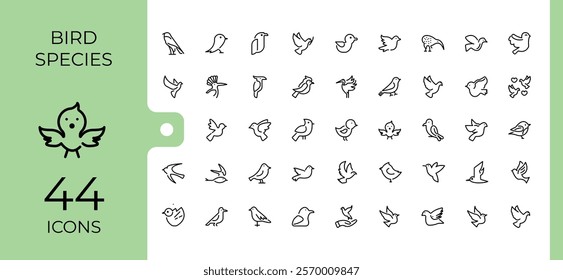 Set of Bird Species line icons. Containing wild, wings, bird, freedom, sketch and more. Collection for mobile and web apps. Vector outline icons collection.