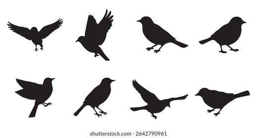 A set of bird vector silhouettes isolated on a white background. Silhouette Bird with Vector Style. 