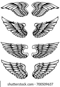 Set of bird wings isolated on white background. Design elements for logo, label, emblem, sign. Vector illustration