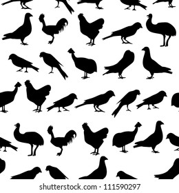 Set of birds