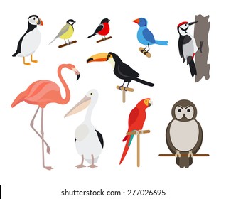 Set of Birds