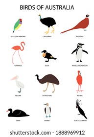 Set With Birds Of Australia -gouldian Amadina, Flamingo, Cassowary, Duck,pheasant, Magellanic Penguin, Pelican, Swan, Ostrich Emu. Gannet, Red Ibis, Black Cockatoo.